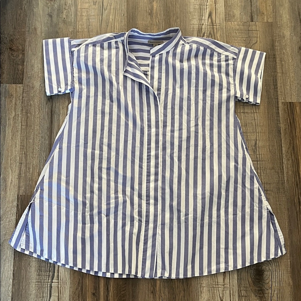 Banana Republic Rhyah Poplin Mini Dress Blue and White Striped